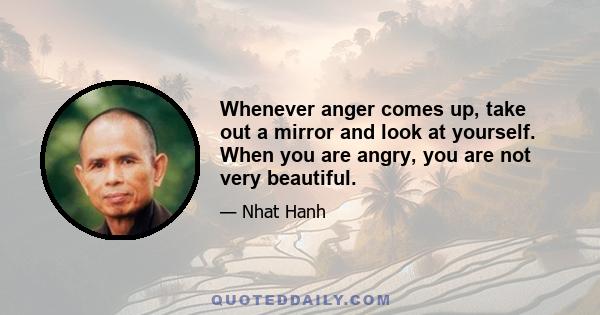 Whenever anger comes up, take out a mirror and look at yourself. When you are angry, you are not very beautiful.