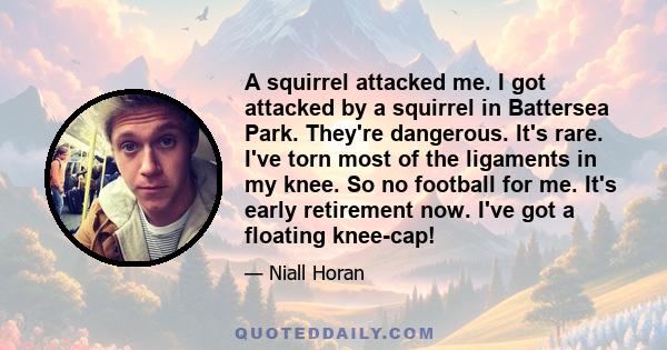 A squirrel attacked me. I got attacked by a squirrel in Battersea Park. They're dangerous. It's rare. I've torn most of the ligaments in my knee. So no football for me. It's early retirement now. I've got a floating