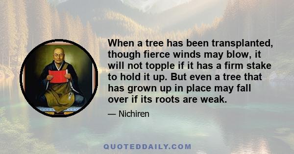 When a tree has been transplanted, though fierce winds may blow, it will not topple if it has a firm stake to hold it up. But even a tree that has grown up in place may fall over if its roots are weak.