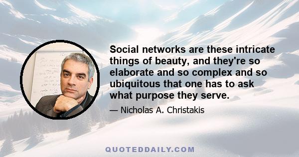 Social networks are these intricate things of beauty, and they're so elaborate and so complex and so ubiquitous that one has to ask what purpose they serve.