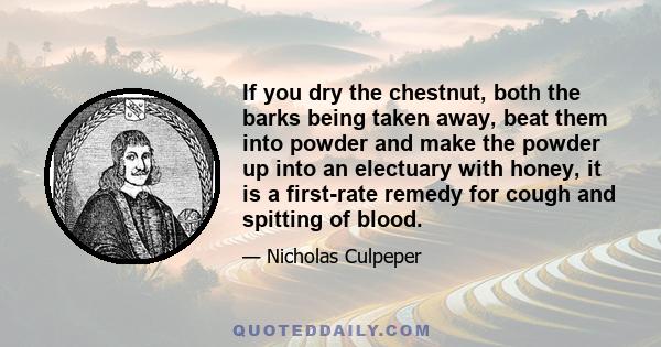 If you dry the chestnut, both the barks being taken away, beat them into powder and make the powder up into an electuary with honey, it is a first-rate remedy for cough and spitting of blood.