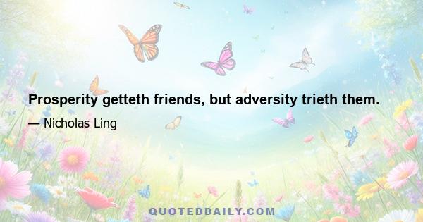 Prosperity getteth friends, but adversity trieth them.