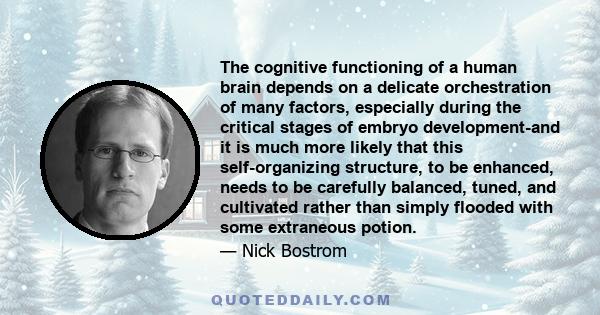 The cognitive functioning of a human brain depends on a delicate orchestration of many factors, especially during the critical stages of embryo development-and it is much more likely that this self-organizing structure, 