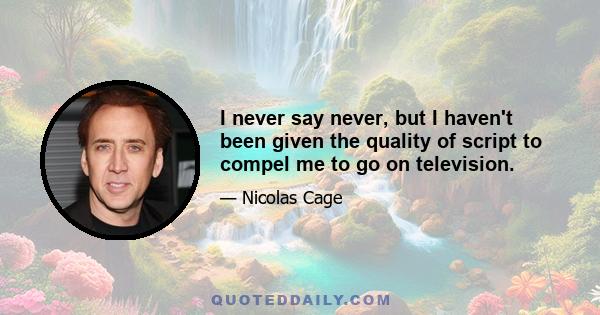 I never say never, but I haven't been given the quality of script to compel me to go on television.