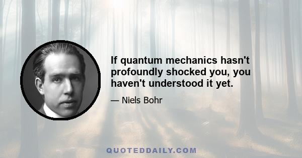 If quantum mechanics hasn't profoundly shocked you, you haven't understood it yet.