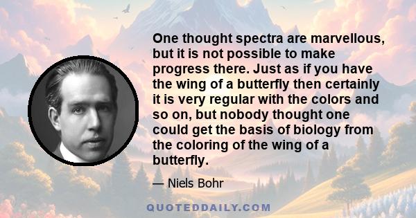 One thought spectra are marvellous, but it is not possible to make progress there. Just as if you have the wing of a butterfly then certainly it is very regular with the colors and so on, but nobody thought one could