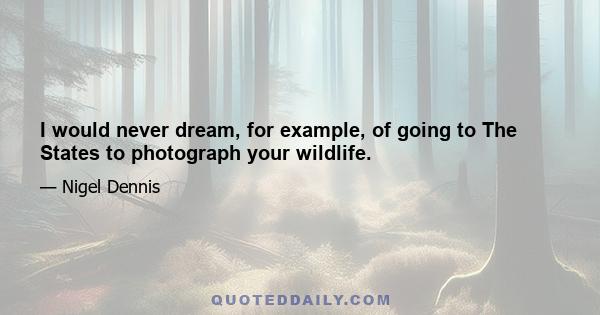 I would never dream, for example, of going to The States to photograph your wildlife.