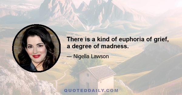 There is a kind of euphoria of grief, a degree of madness.