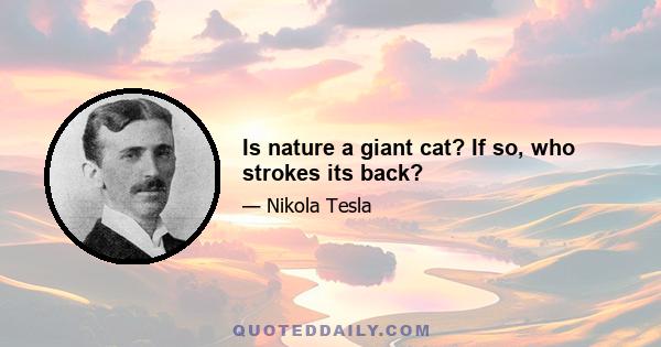 Is nature a giant cat? If so, who strokes its back?