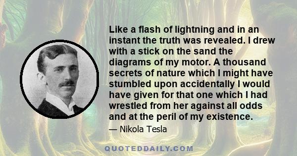 Like a flash of lightning and in an instant the truth was revealed. I drew with a stick on the sand the diagrams of my motor. A thousand secrets of nature which I might have stumbled upon accidentally I would have given 