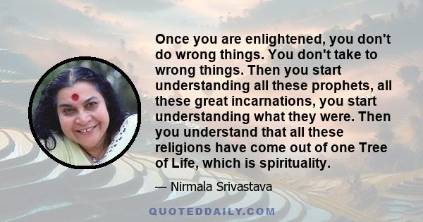 Once you are enlightened, you don't do wrong things. You don't take to wrong things. Then you start understanding all these prophets, all these great incarnations, you start understanding what they were. Then you