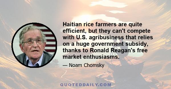 Haitian rice farmers are quite efficient, but they can't compete with U.S. agribusiness that relies on a huge government subsidy, thanks to Ronald Reagan's free market enthusiasms.