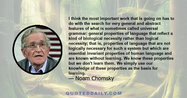 I think the most important work that is going on has to do with the search for very general and abstract features of what is sometimes called universal grammar: general properties of language that reflect a kind of