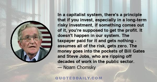 In a capitalist system, there's a principle that if you invest, especially in a long-term risky investment, if something comes out of it, you're supposed to get the profit. It doesn't happen in our system. The taxpayer