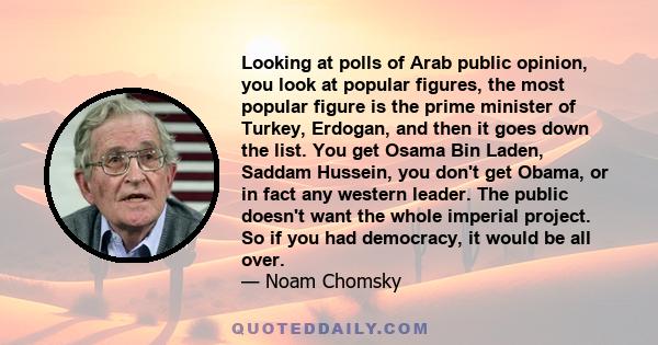 Looking at polls of Arab public opinion, you look at popular figures, the most popular figure is the prime minister of Turkey, Erdogan, and then it goes down the list. You get Osama Bin Laden, Saddam Hussein, you don't