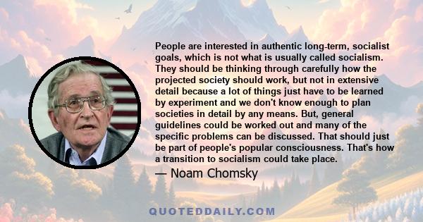 People are interested in authentic long-term, socialist goals, which is not what is usually called socialism. They should be thinking through carefully how the projected society should work, but not in extensive detail