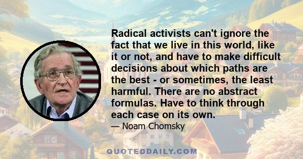 Radical activists can't ignore the fact that we live in this world, like it or not, and have to make difficult decisions about which paths are the best - or sometimes, the least harmful. There are no abstract formulas.