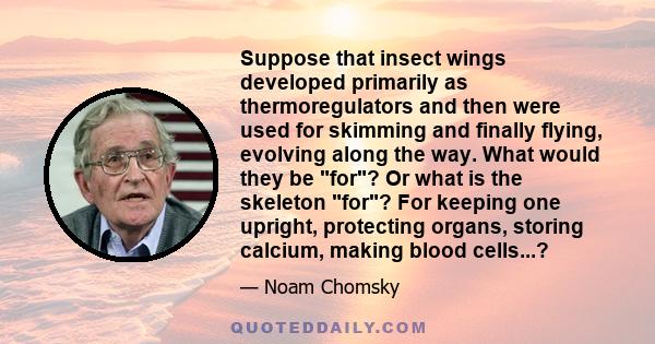 Suppose that insect wings developed primarily as thermoregulators and then were used for skimming and finally flying, evolving along the way. What would they be for? Or what is the skeleton for? For keeping one upright, 