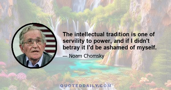 The intellectual tradition is one of servility to power, and if I didn't betray it I'd be ashamed of myself.