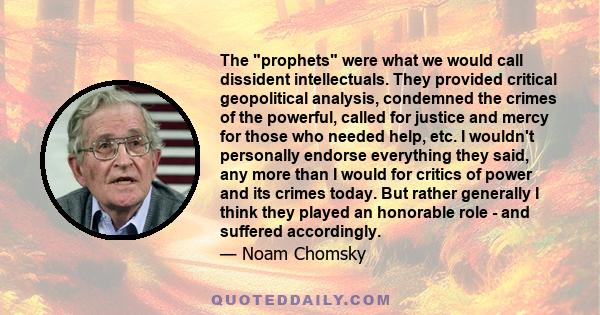 The prophets were what we would call dissident intellectuals. They provided critical geopolitical analysis, condemned the crimes of the powerful, called for justice and mercy for those who needed help, etc. I wouldn't