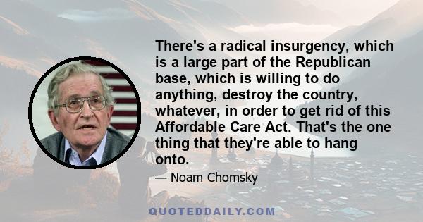 There's a radical insurgency, which is a large part of the Republican base, which is willing to do anything, destroy the country, whatever, in order to get rid of this Affordable Care Act. That's the one thing that