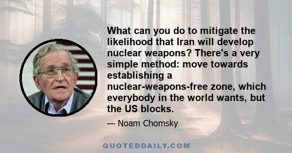 What can you do to mitigate the likelihood that Iran will develop nuclear weapons? There's a very simple method: move towards establishing a nuclear-weapons-free zone, which everybody in the world wants, but the US