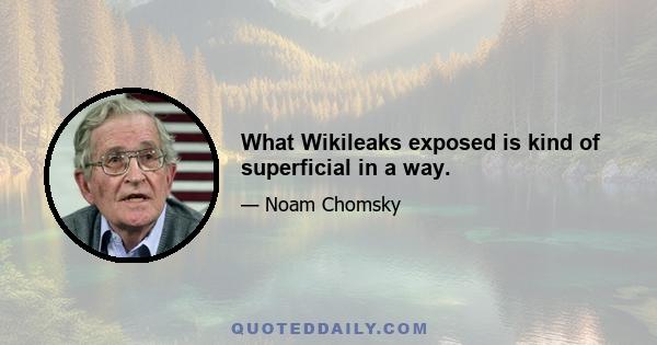 What Wikileaks exposed is kind of superficial in a way.