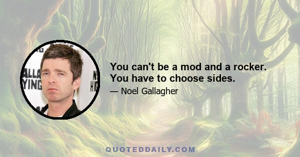 You can't be a mod and a rocker. You have to choose sides.