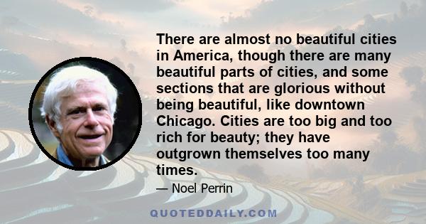 There are almost no beautiful cities in America, though there are many beautiful parts of cities, and some sections that are glorious without being beautiful, like downtown Chicago. Cities are too big and too rich for