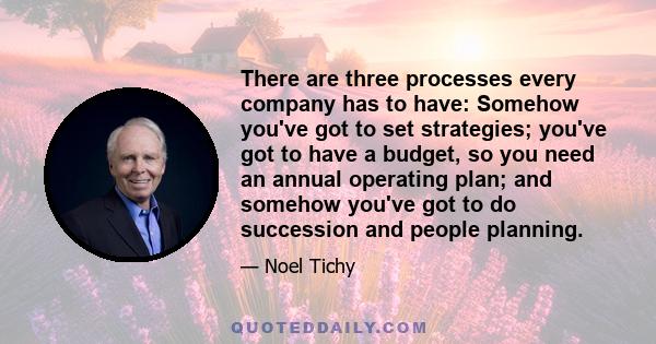 There are three processes every company has to have: Somehow you've got to set strategies; you've got to have a budget, so you need an annual operating plan; and somehow you've got to do succession and people planning.