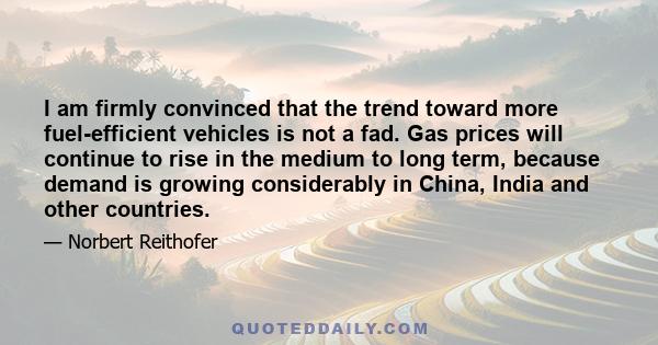 I am firmly convinced that the trend toward more fuel-efficient vehicles is not a fad. Gas prices will continue to rise in the medium to long term, because demand is growing considerably in China, India and other