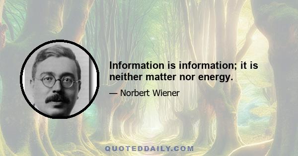 Information is information; it is neither matter nor energy.