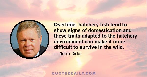 Overtime, hatchery fish tend to show signs of domestication and these traits adapted to the hatchery environment can make it more difficult to survive in the wild.