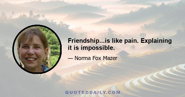 Friendship...is like pain. Explaining it is impossible.