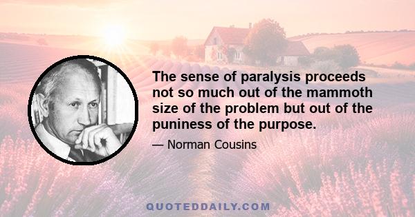 The sense of paralysis proceeds not so much out of the mammoth size of the problem but out of the puniness of the purpose.