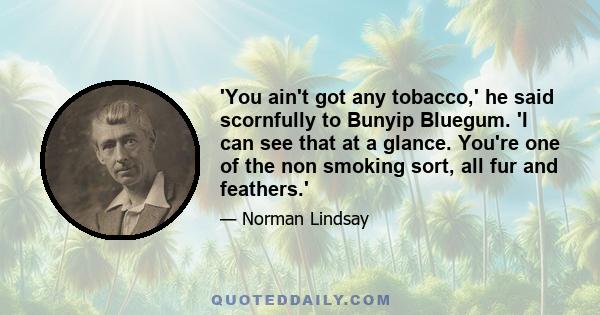 'You ain't got any tobacco,' he said scornfully to Bunyip Bluegum. 'I can see that at a glance. You're one of the non smoking sort, all fur and feathers.'