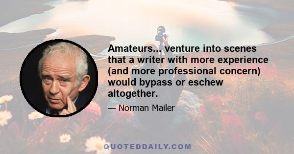 Amateurs... venture into scenes that a writer with more experience (and more professional concern) would bypass or eschew altogether.