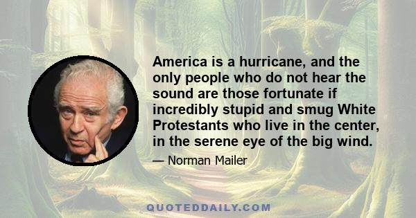 America is a hurricane, and the only people who do not hear the sound are those fortunate if incredibly stupid and smug White Protestants who live in the center, in the serene eye of the big wind.