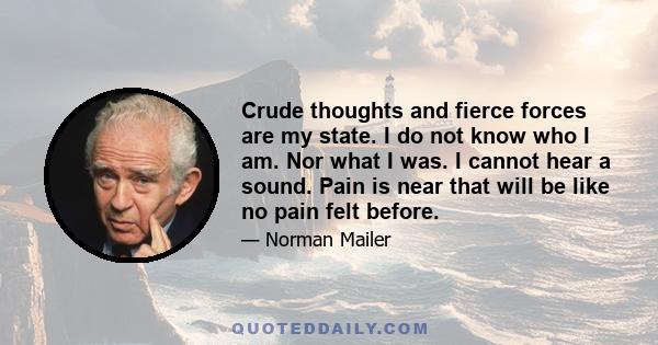 Crude thoughts and fierce forces are my state. I do not know who I am. Nor what I was. I cannot hear a sound. Pain is near that will be like no pain felt before.