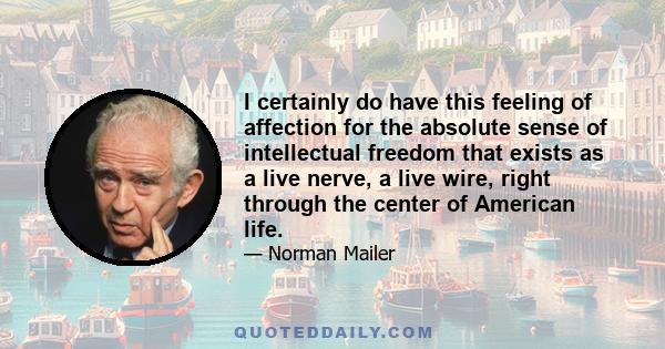 I certainly do have this feeling of affection for the absolute sense of intellectual freedom that exists as a live nerve, a live wire, right through the center of American life.