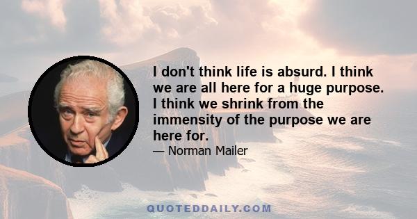 I don't think life is absurd. I think we are all here for a huge purpose. I think we shrink from the immensity of the purpose we are here for.