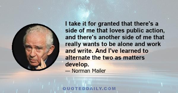 I take it for granted that there's a side of me that loves public action, and there's another side of me that really wants to be alone and work and write. And I've learned to alternate the two as matters develop.