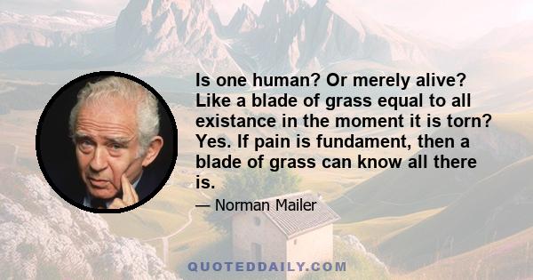 Is one human? Or merely alive? Like a blade of grass equal to all existance in the moment it is torn? Yes. If pain is fundament, then a blade of grass can know all there is.