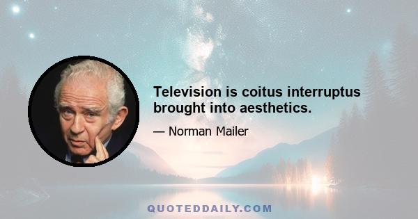 Television is coitus interruptus brought into aesthetics.