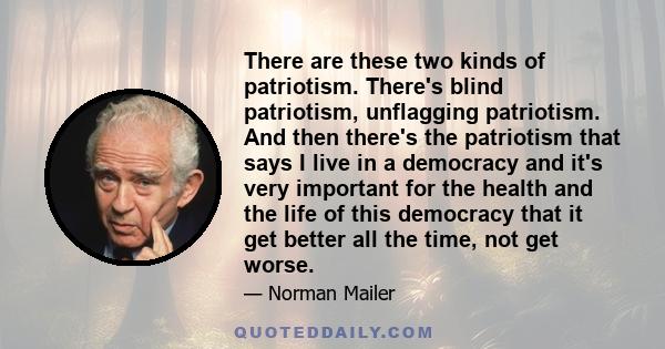 There are these two kinds of patriotism. There's blind patriotism, unflagging patriotism. And then there's the patriotism that says I live in a democracy and it's very important for the health and the life of this