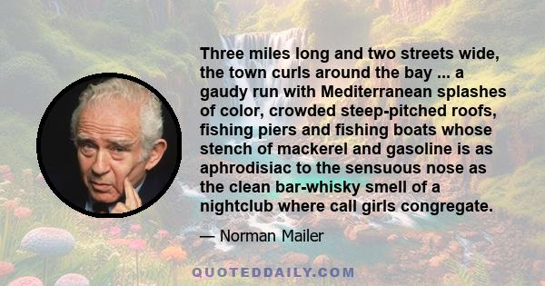 Three miles long and two streets wide, the town curls around the bay ... a gaudy run with Mediterranean splashes of color, crowded steep-pitched roofs, fishing piers and fishing boats whose stench of mackerel and