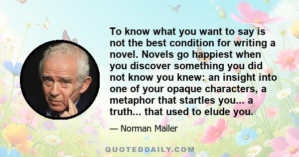 To know what you want to say is not the best condition for writing a novel. Novels go happiest when you discover something you did not know you knew: an insight into one of your opaque characters, a metaphor that