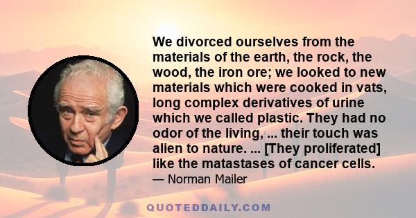 We divorced ourselves from the materials of the earth, the rock, the wood, the iron ore; we looked to new materials which were cooked in vats, long complex derivatives of urine which we called plastic. They had no odor