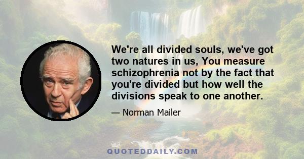 We're all divided souls, we've got two natures in us, You measure schizophrenia not by the fact that you're divided but how well the divisions speak to one another.