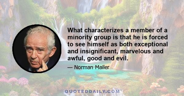 What characterizes a member of a minority group is that he is forced to see himself as both exceptional and insignificant, marvelous and awful, good and evil.